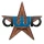 Anti-wikia-skin-barnstar