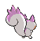 Pachirisu espalda G5 variocolor hembra