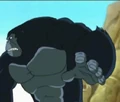 Kong