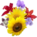 125px-Flower bouquetmya.png (25 KB) 125px-Flower bouquetmya