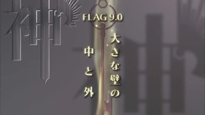 Flag 9.0