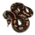 Item rockpython 01