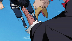 http://images1.wikia.nocookie.net/__cb20101204142641/naruto/pl/images/thumb/b/be/Ostrich_rising_dragon_kick.png/250px-Ostrich_rising_dragon_kick.png