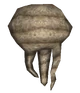 Xander root