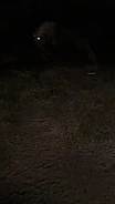 Cloaked Bloodsucker