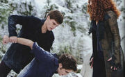 Edward-cullen-gallery