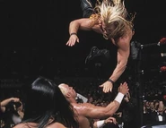 Royal Rumble 2000.5