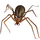Item brownrecluse 01.png