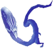 White Dragon
