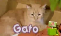 PSGato