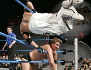 Judgment Day 2006.41