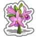 Orchids-icon.png