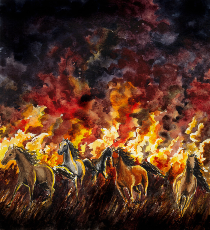 http://images1.wikia.nocookie.net/__cb20101214172602/lotr/images/6/67/The_battle_of_sudden_flame_by_Filat.jpg