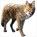 Item prairiewolf 01.png