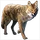 Item prairiewolf 01