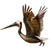 Item brownpelican 01