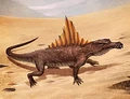 DuneLizard-SOC.jpg