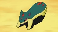EP652 Quilava de Ash