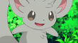Minccino