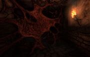 ShadowResidue