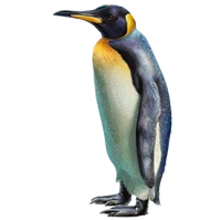 Huge item kingpenguin 01.png