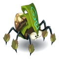 Cil