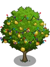 Asian Pear Tree6-icon