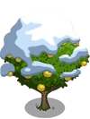 Asian Pear Tree8-icon