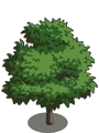 Persimmon1-icon