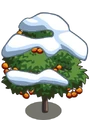 Persimmon8-icon