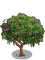 Mountain Ebony6-icon