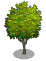 Ponderosa Lemon5-icon