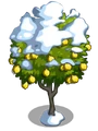 Ponderosa Lemon8-icon