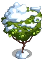Ruby Guava8-icon