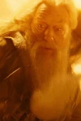 Albus dumbledore
