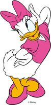 Daisy