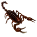 Red Scorpion