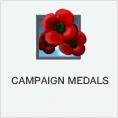 Campaign Medals PL
