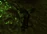 Dead mercenary.png
