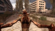 Bloodsucker hug