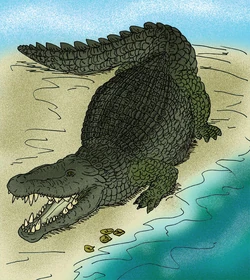Deinosuchus hatcheri.JPG