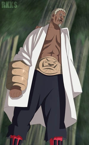 http://images1.wikia.nocookie.net/__cb20101223013840/fairytailfanon/images/4/4e/Raikage_473_by_RikkudouSennin.jpg