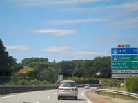 N145 (36)