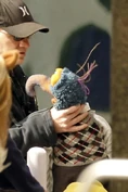 Gonzo-choking-BTS-Muppets