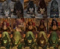 Druid-Hair-Animal