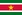 Flag of Suriname