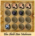 Blueshieldmushroom.jpg