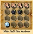 Whiteshieldmushroom.jpg