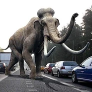 Mammoth Mainpage