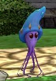 Jellyfish